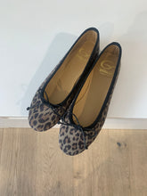 Afbeelding in Gallery-weergave laden, GALLUCCI ballerina leopard

