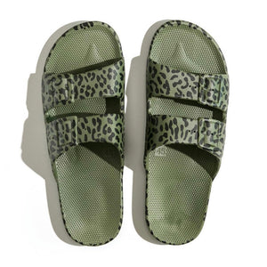 FREEDOM MOSES slipper leo cactus