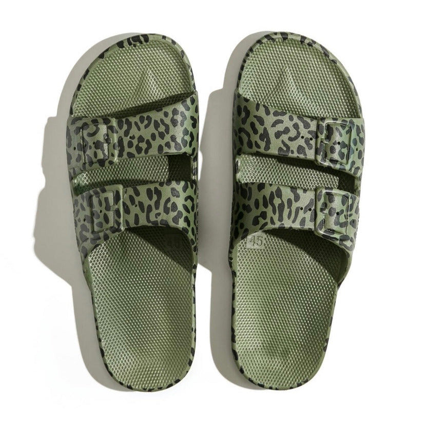 FREEDOM MOSES slipper leo cactus
